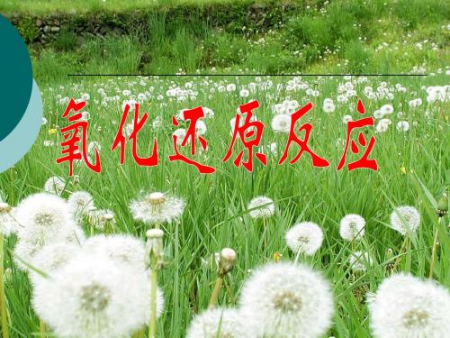 高三一轮复习：《氧化还原反应》课件(新人教版)