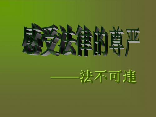 感受法律的尊严