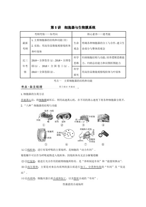 2021高考生物一轮复习第二单元细胞的基本结构与物质运输第5讲细胞器与生物膜系统教案新人教版必修1