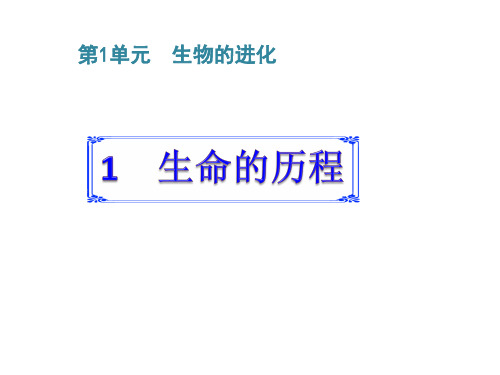 六年级下册科学课件-1.1 生命的历程(17)-湘科版