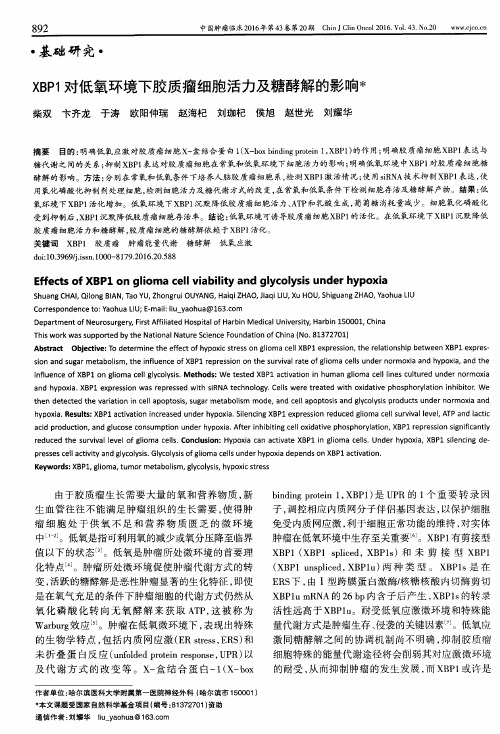 XBP1对低氧环境下胶质瘤细胞活力及糖酵解的影响