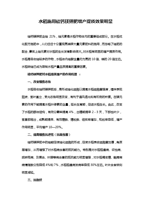 水稻施用硅钙镁钾肥增产提质效果明显