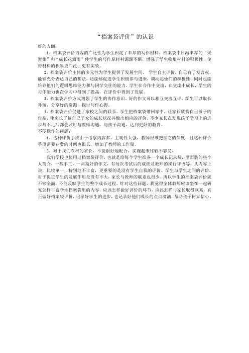 档案袋评价