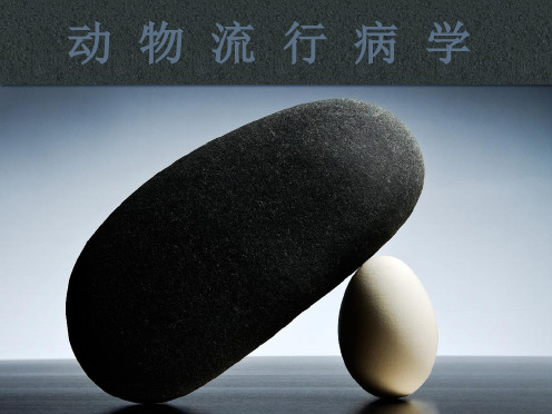 兽医流行病学