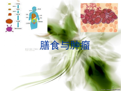 膳食与肿瘤
