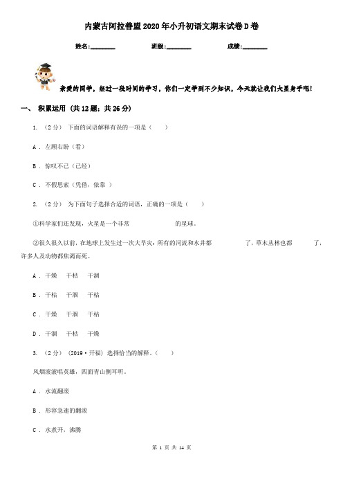 内蒙古阿拉善盟2020年小升初语文期末试卷D卷