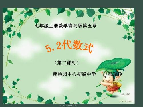 青岛版七年级上5.2《代数式》ppt课件