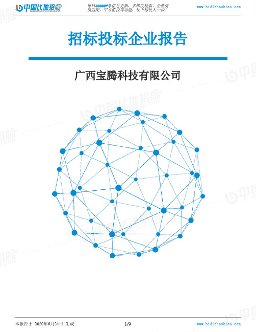 广西宝腾科技有限公司-招投标数据分析报告