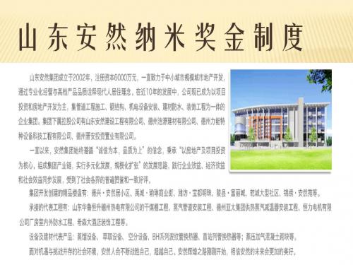 山东安然纳米奖金制度