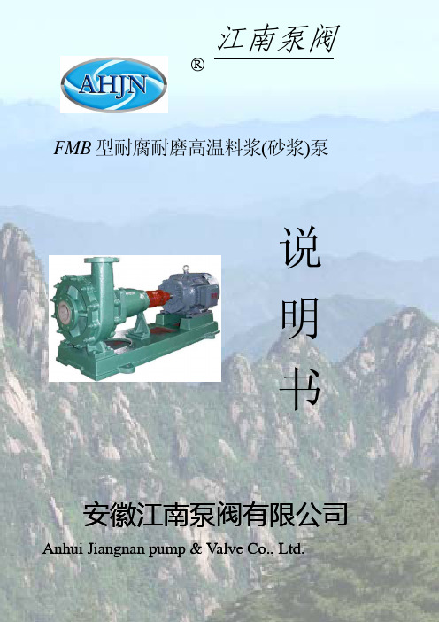 FMB型耐腐耐磨高温料浆泵说明书(新1)