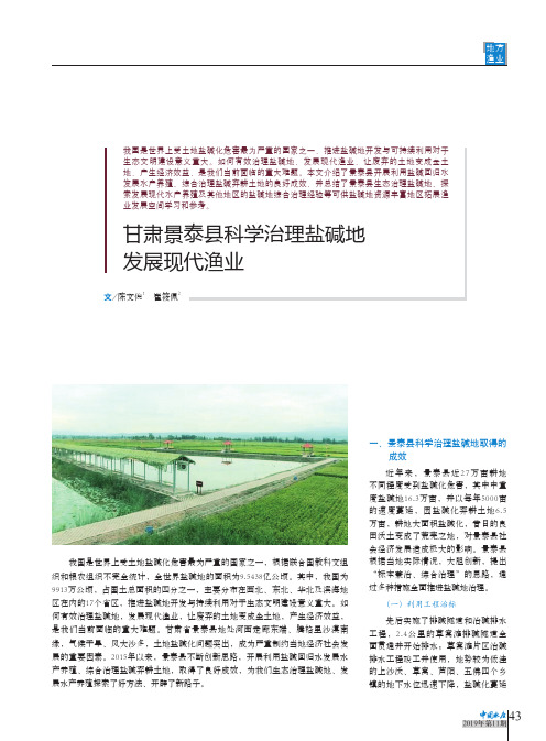 甘肃景泰县科学治理盐碱地发展现代渔业