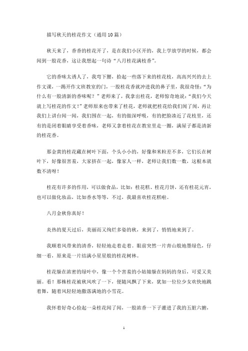 描写秋天的桂花作文(最新)