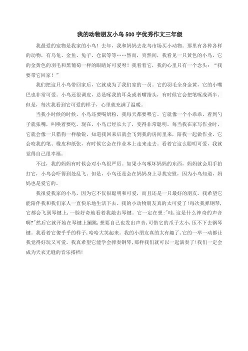 我的动物朋友小鸟500字优秀作文三年级