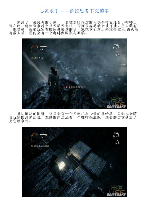 心灵杀手——莎拉思考韦克的事