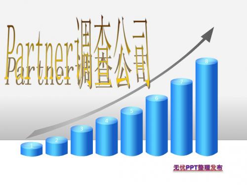 1.Partner公司简介