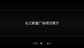 项目评估报告