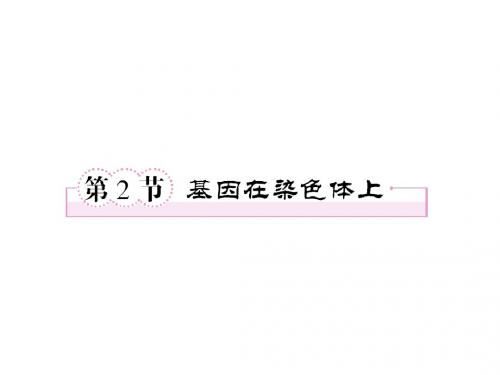 第二章  基因和染色体的关系第2节  基因在染色体上