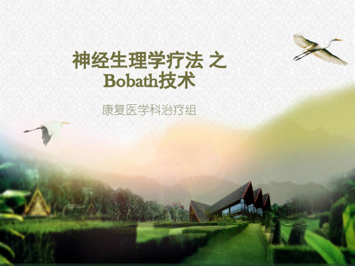 神经生理学疗法 之Bobath技术