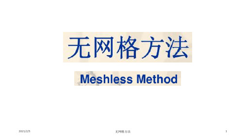 无网格方法 ppt课件