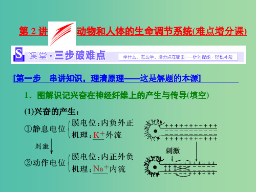 高考生物二轮复习 第一部分 专题三 稳态系统 第2讲 动物和人体的生命调节系统(难点增分课)