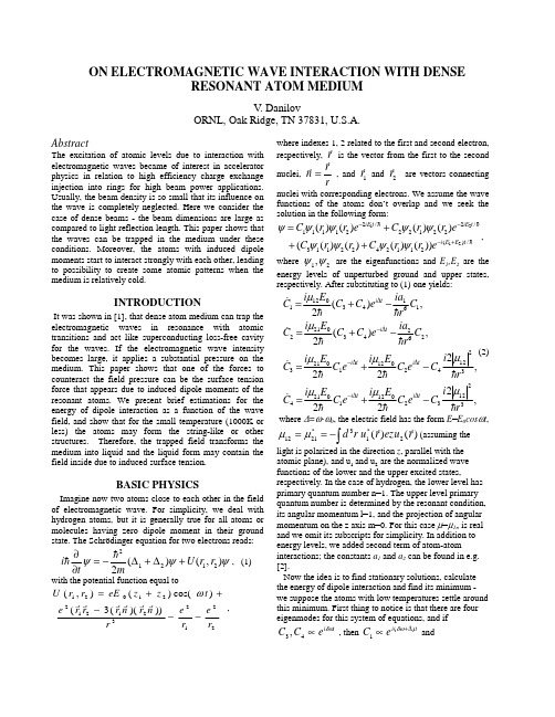 On Electromagnetic Wave Interaction with Dense Resonant Atom Medium