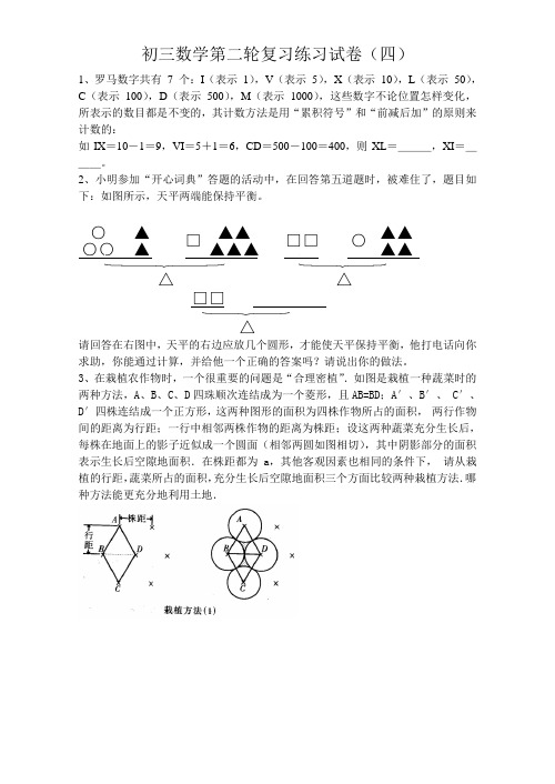初三数学第二轮复习练习试 