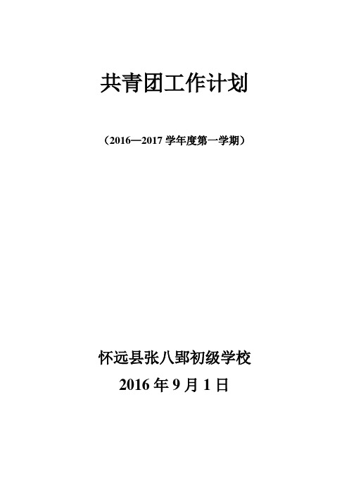 共青团工作计划2016.9