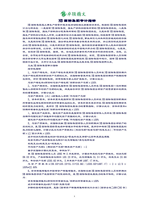【卓顶精文】最新NB国际集团审计指标.doc