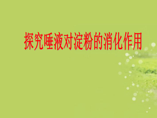 七年级生物下册-探究唾液对淀粉的消化济南版ppt课件