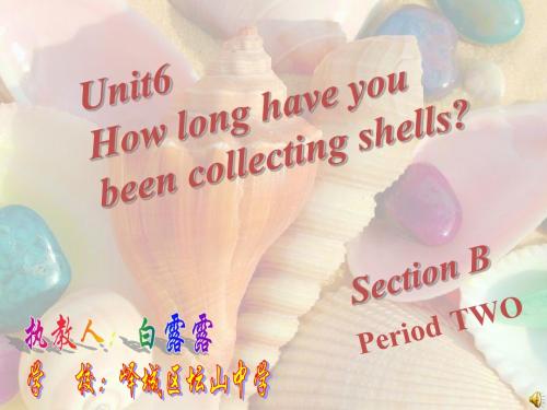 人教新目标版八年级下册Unit6Howlonghaveyoubeencollectingshells(SectionBPeriod2