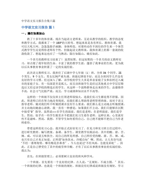 中学语文实习报告