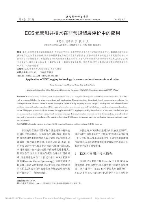 ECS元素测井技术在非常规储层评价中的应用