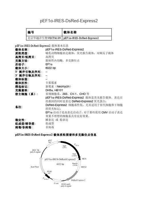 pEF1α-IRES-DsRed-Express2哺乳动物表达载体说明