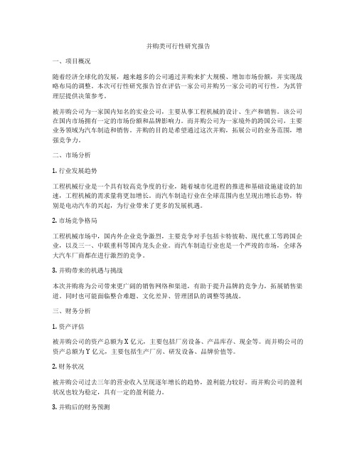 并购类可行性研究报告