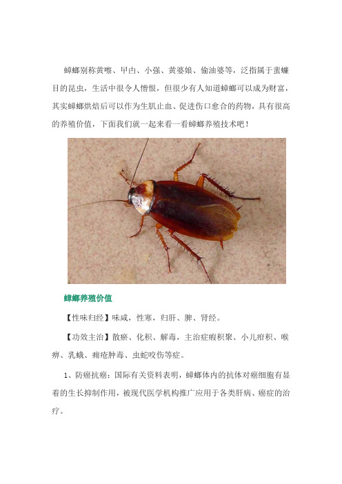 特种养殖：蟑螂养殖技术