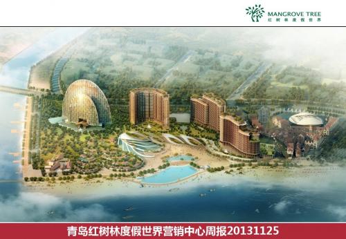 青岛红树林47周市场周报