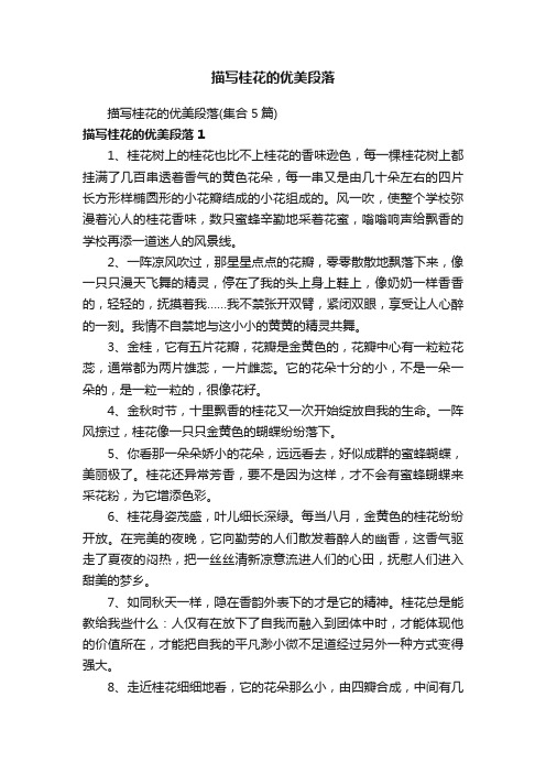 描写桂花的优美段落（集合5篇）