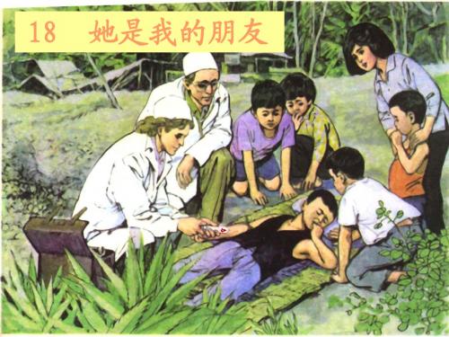 《她是我的朋友》PPT课件