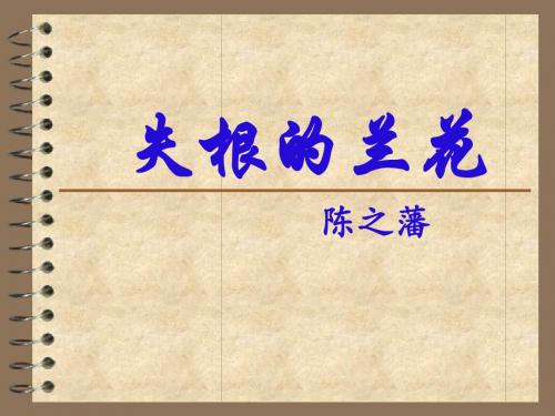 失根的兰花