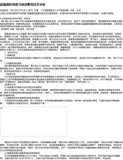 蓝莓组织培养与快速繁育技术分析
