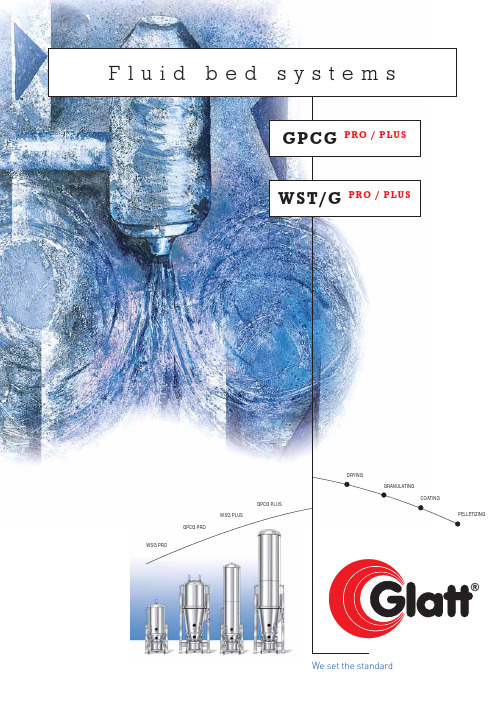 wsg流化床包衣Glatt