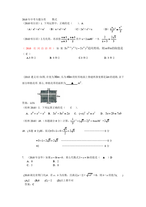 2010年中考专题分类-------整式