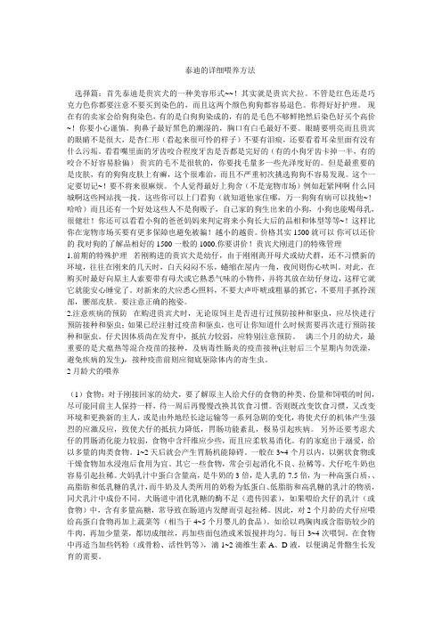 泰迪的详细喂养方法