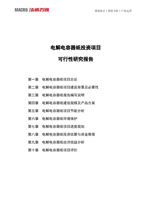 电解电容器纸投资项目可行性研究报告