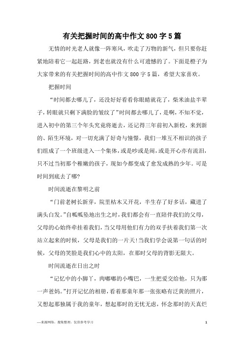 有关把握时间的高中作文800字5篇