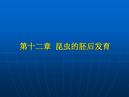 第十二章昆虫的胚后发育