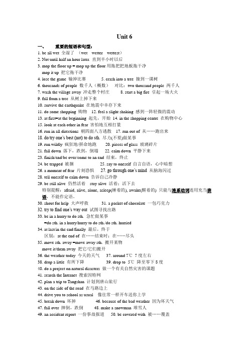 8A Unit 6词组语法复习提纲