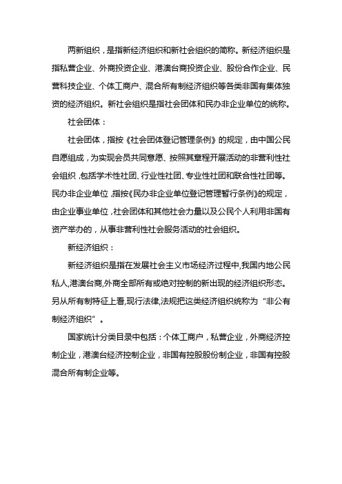 两新组织什么意思