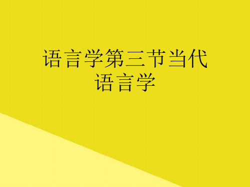 语言学第三节当代语言学PPT资料(正式版)