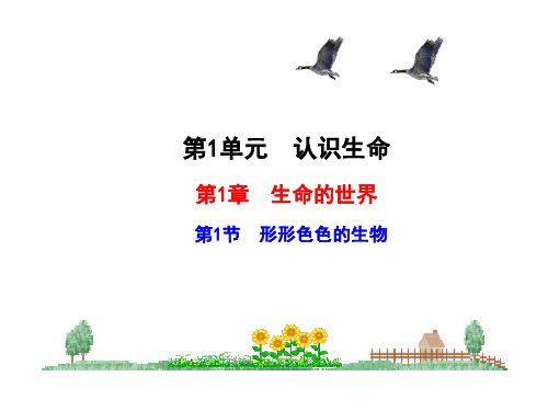 七上一章认识生命复习